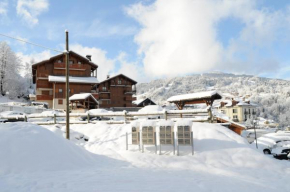 Spacious and comfortable chalet apartment. Saint-Gervais-Les-Bains